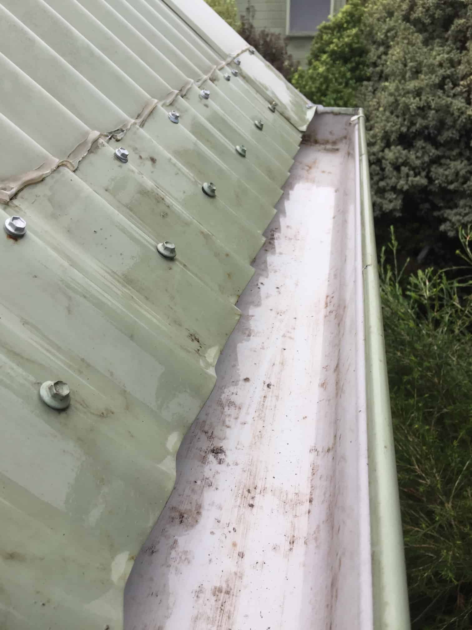 House Gutter Cleaning