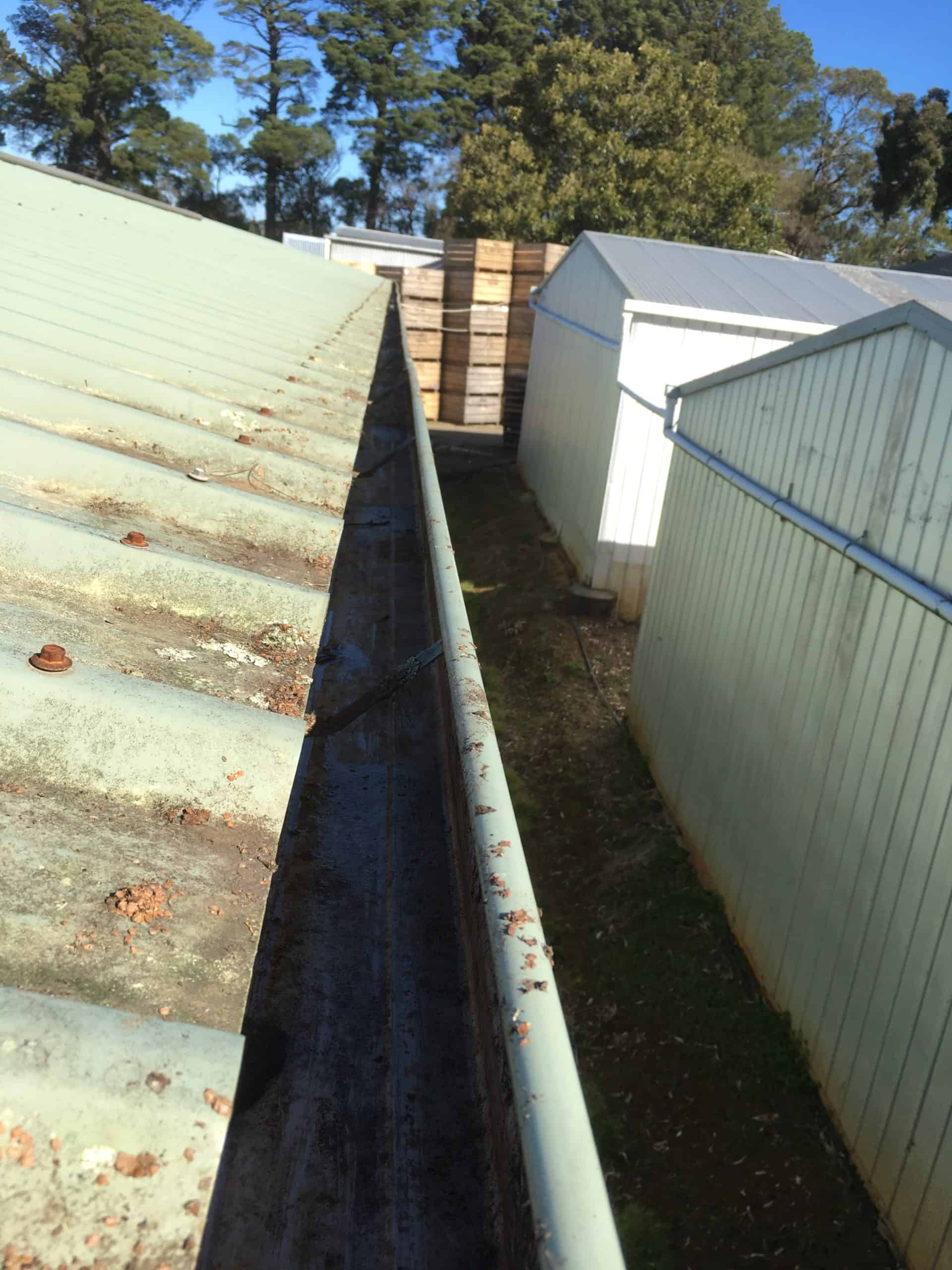 House Gutter Cleaning